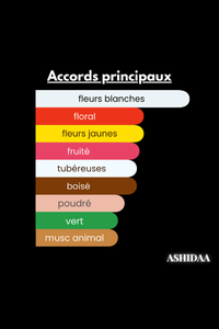 Composition et proportion ASHIDAA Composition et proportion ASHIDAA